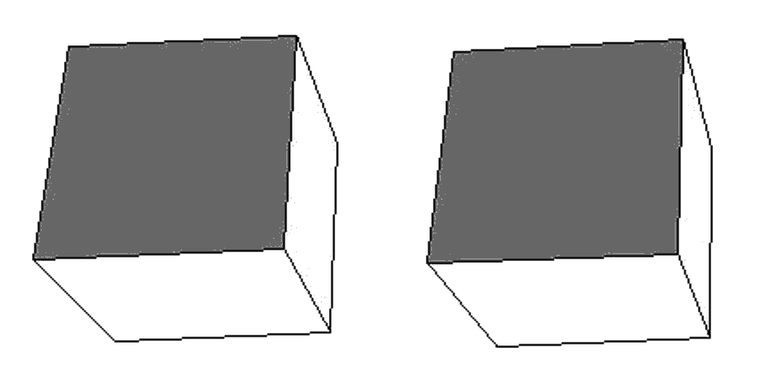 Crossed stereoscopic pair (R-L) Crossed stereoscopic pair (R-L)
