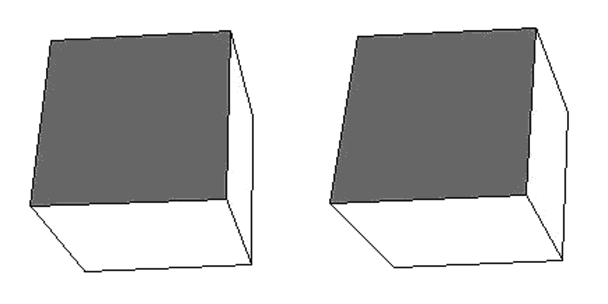 Parallel stereoscopic pair (L-R)