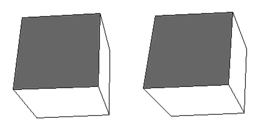 Parallel stereoscopic pair (L-R) Parallel stereoscopic pair (L-R)