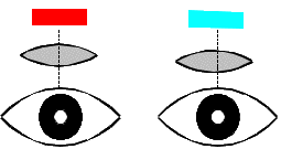 Head Mounted Display Head Mounted Display