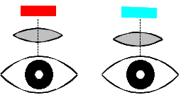 Head Mounted Display